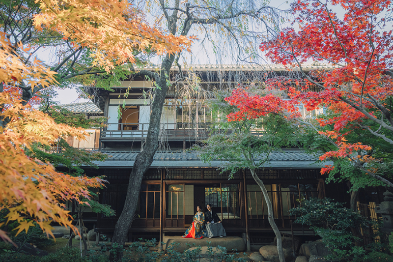 引きのお写真も