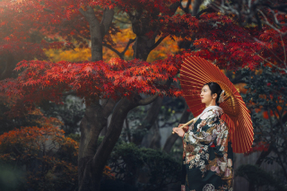 【歴史邸宅プラン】平日＠旧泉山吉兵衛邸