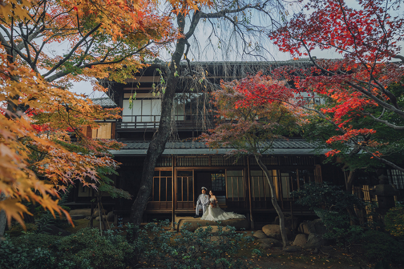 引きのお写真も