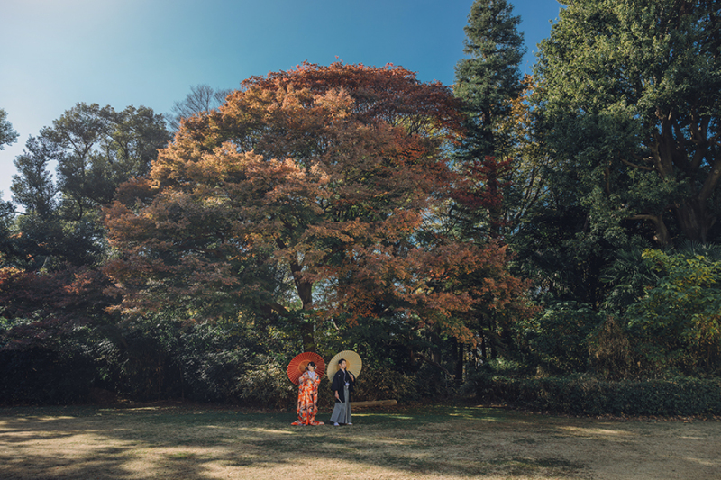 ドラマチックなお写真も
