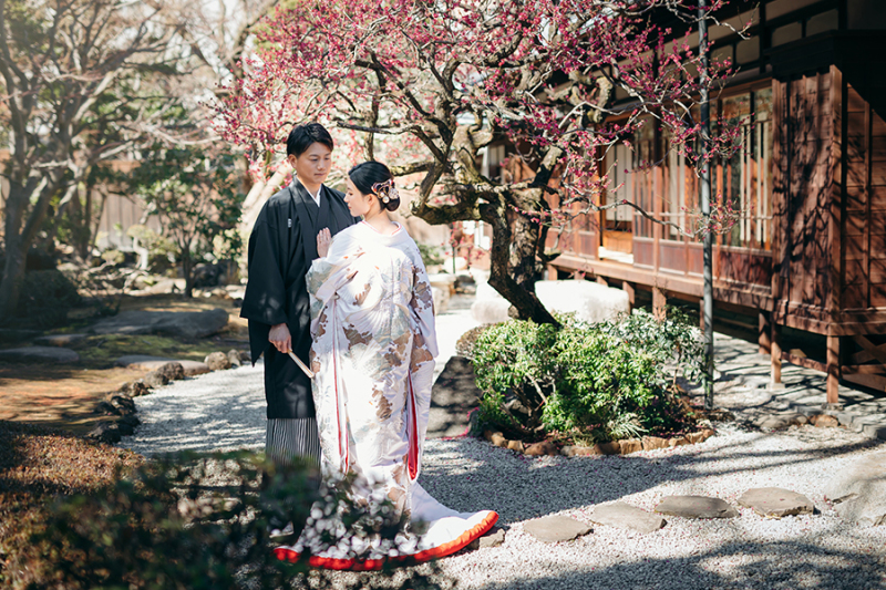 和装の後ろ姿ショット