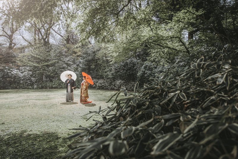 お庭の緑もたっぷり