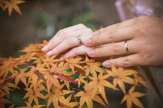 【歴史邸宅プラン】平日＠旧安田楠雄邸