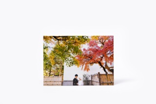 スタンダードアルバム 20P / サイズ : 210×297mm