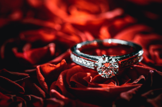 思い出の品の撮影