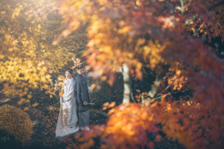 TORUTOKOYA photo&movie 新宿店_【歴史邸宅プラン】旧安田楠雄邸_冬 (12-2月)