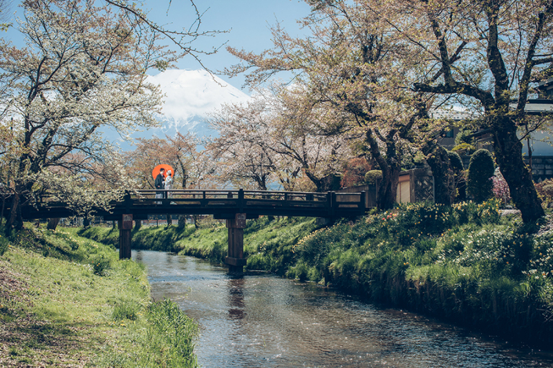 【富士山】世界遺産プラン / 平日のみ_ご衣裳2着