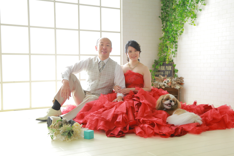 スタジオもペットの同伴ができます！