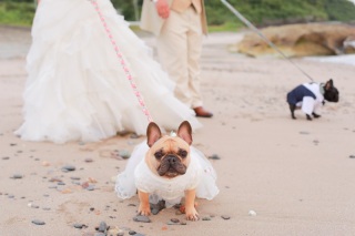 フォトスタジオプリンセス鹿児島
