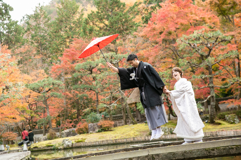 飛んで！飛んで！