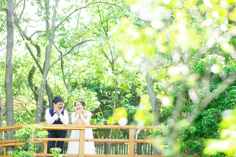 小鳥とおしゃべり