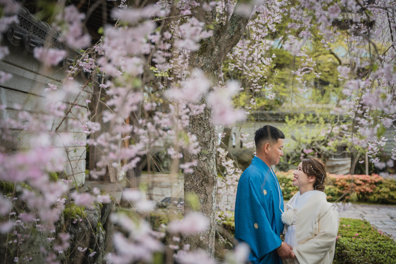 枝垂れ桜