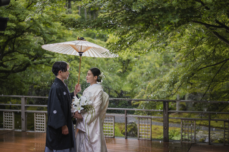 雨雨