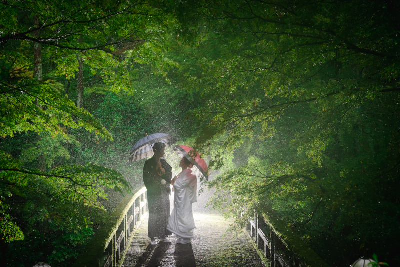 雨の日ならでは!