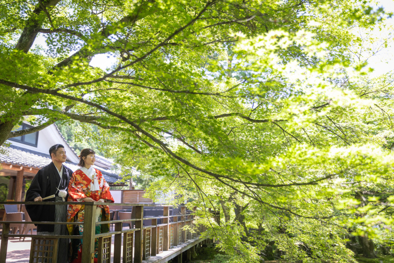 緑が鮮やかな爽やかさ!