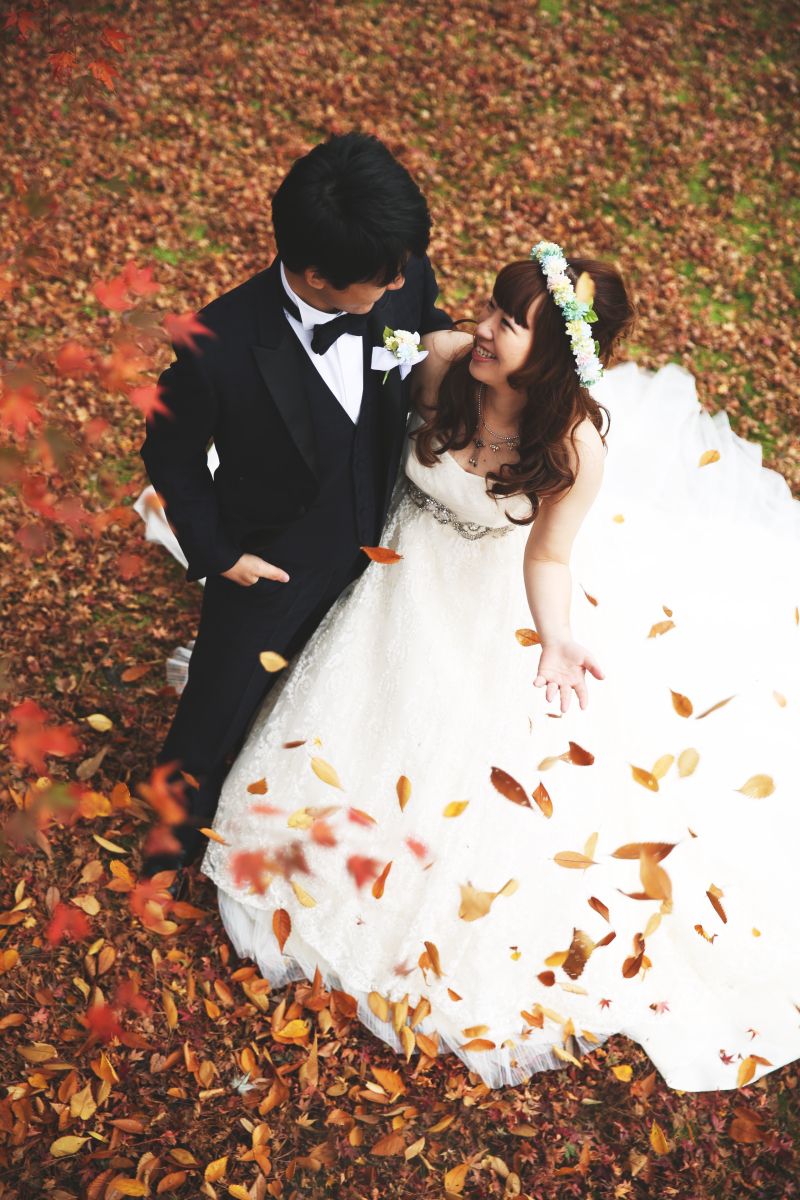 木の葉のシャワー