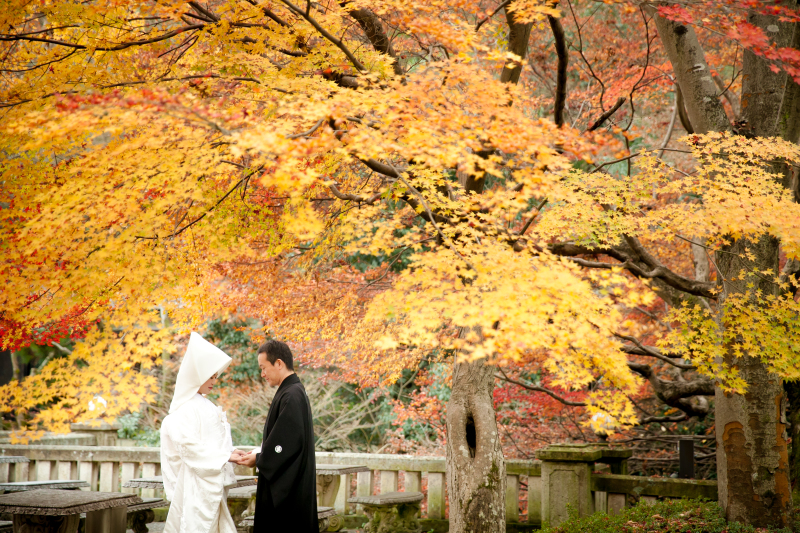 SHOZANの日本庭園