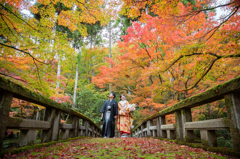 紅葉が織りなす秋色の舞台