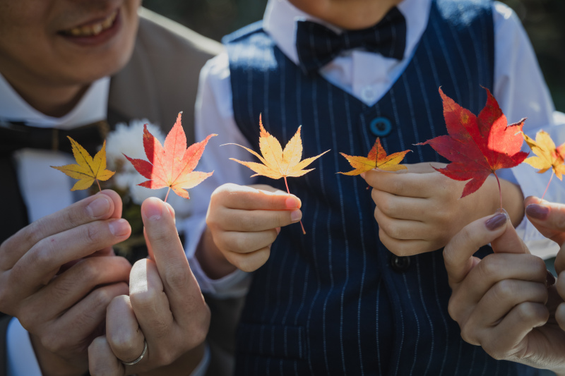 きれいな紅葉