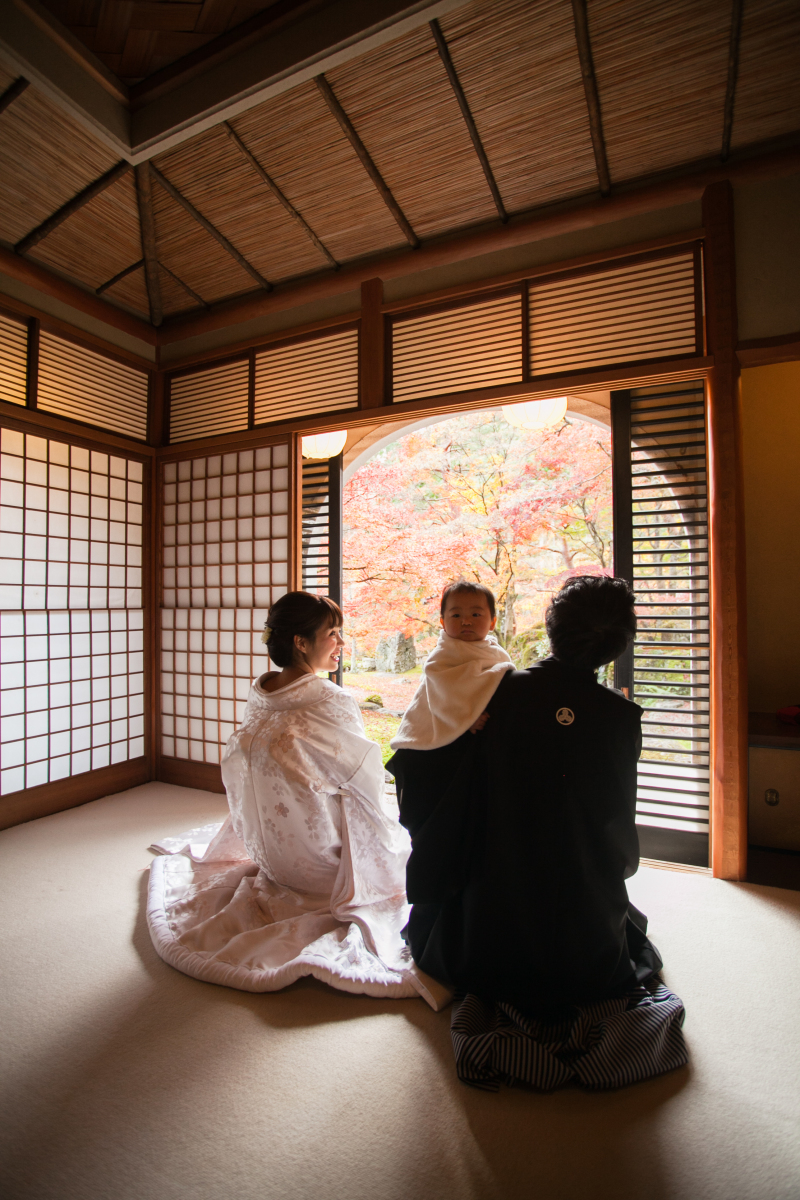 こっちみちゃダメだよ。