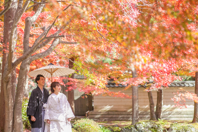 真っ赤な紅葉で