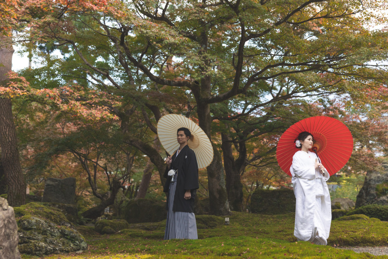 キリッとした雰囲気で