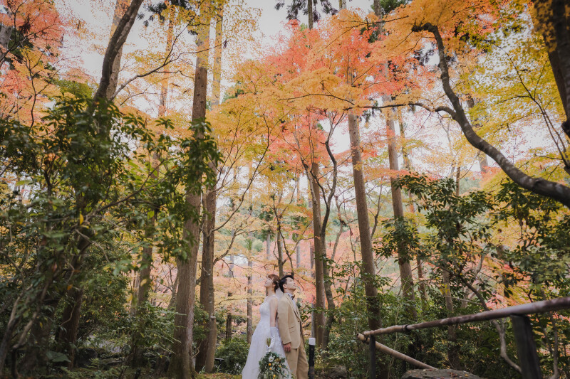 紅葉の時期
