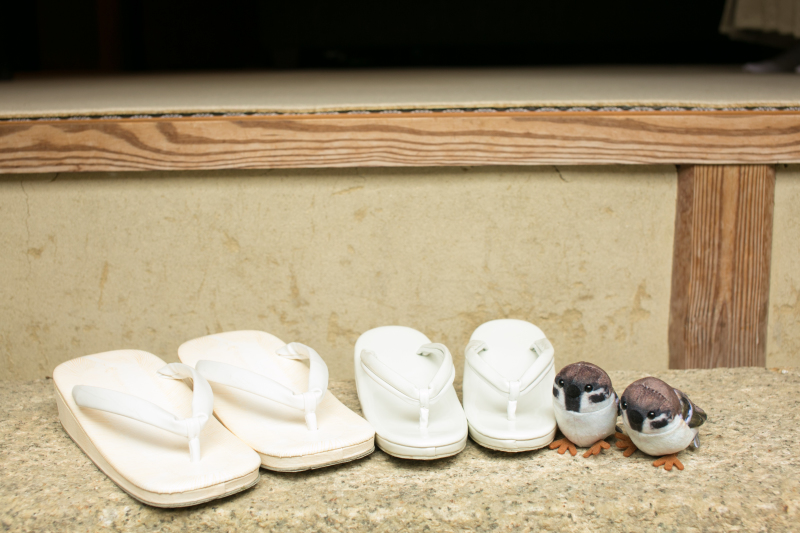 「すずめ」がね