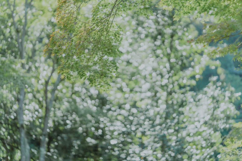 施設内の植物は四季折々の表情を見せてくれます。