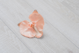 オレンジ　胡蝶蘭髪飾り