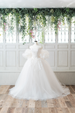 ✨2025年新作✨wd-27(4)