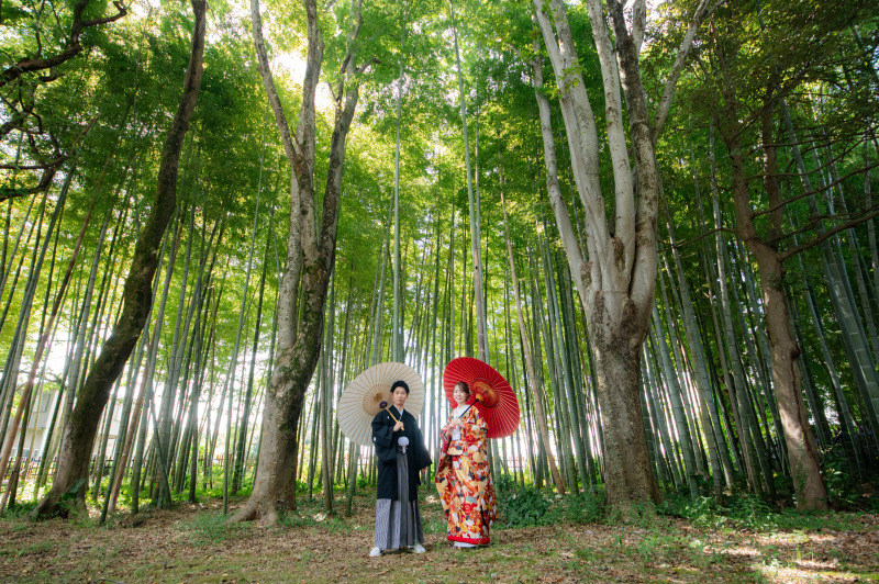 竹林と紅白の和傘