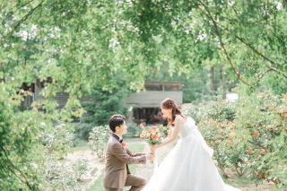 スタジオ マタニティウェディングフォト 画像