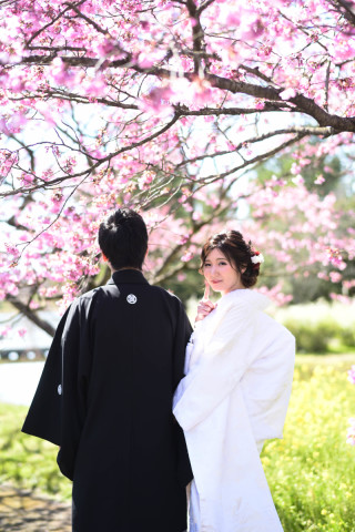 和装×桜　で春だけのかわいい桜フォト♡