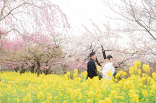 ＼春限定！／桜&菜の花畑で和装撮影