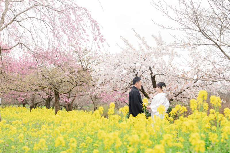 ＼春限定！／桜&菜の花畑で和装撮影