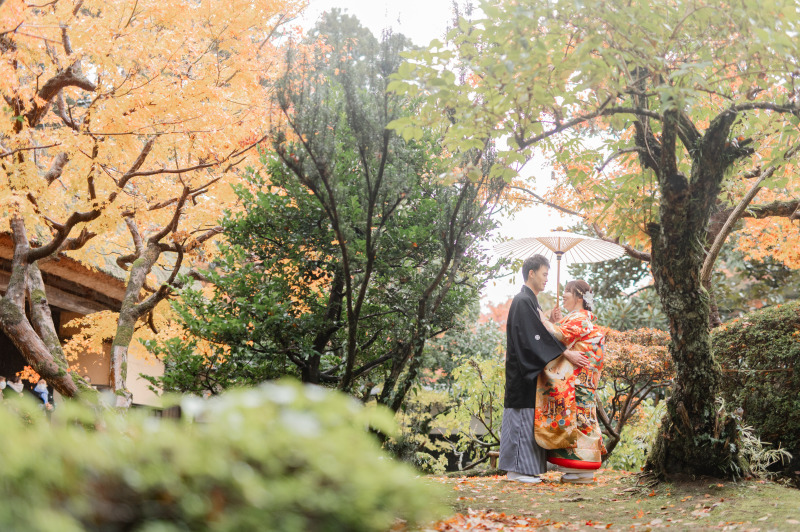 緑×紅葉