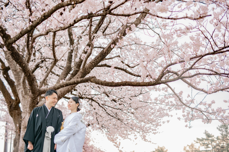 最後は満開の桜の下での撮影