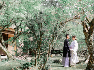 浮田家　新緑フォト！