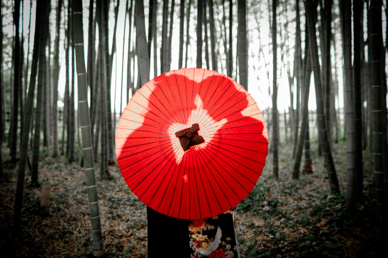 和傘を使ってシルエットに