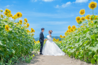 夏限定！ひまわりロケーション撮影！