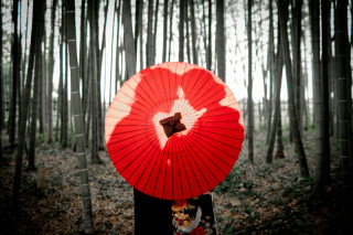 浮田家で和装撮影！