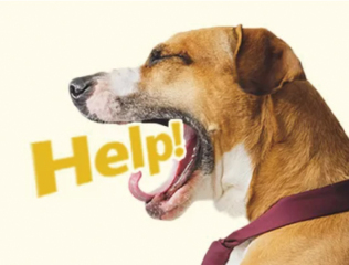 お急ぎのお客様向け！納品お急ぎＯＰＴＩＯＮ