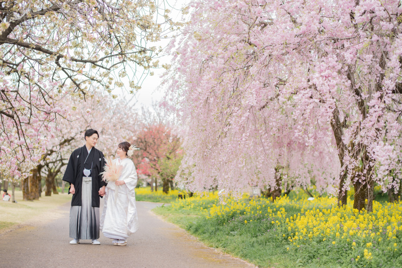 予約スタート!【桜フォト】毎年ご予約を多くいただく時期の撮影ですのでお早目にお問合せください!和装 全データ プラン