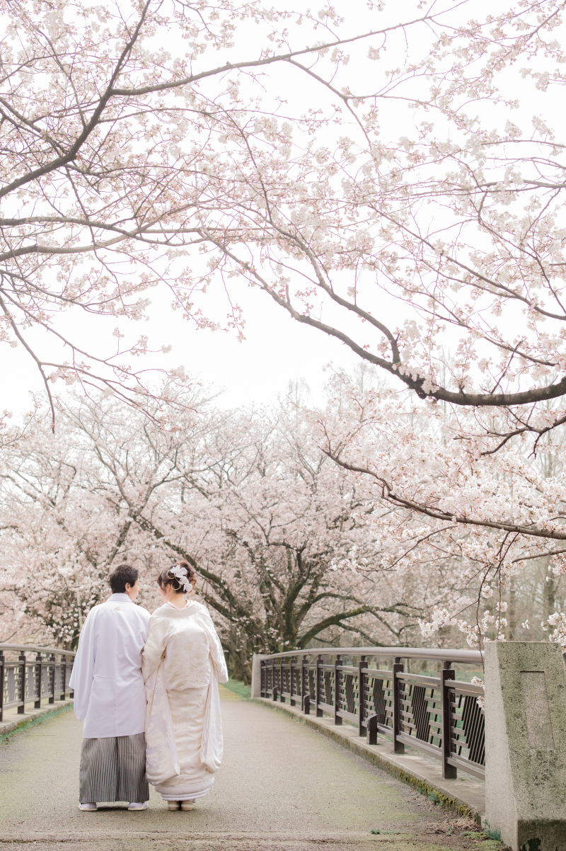 予約スタート!【桜フォト】毎年ご予約を多くいただく時期の撮影ですのでお早目にお問合せください!和装 全データ プラン