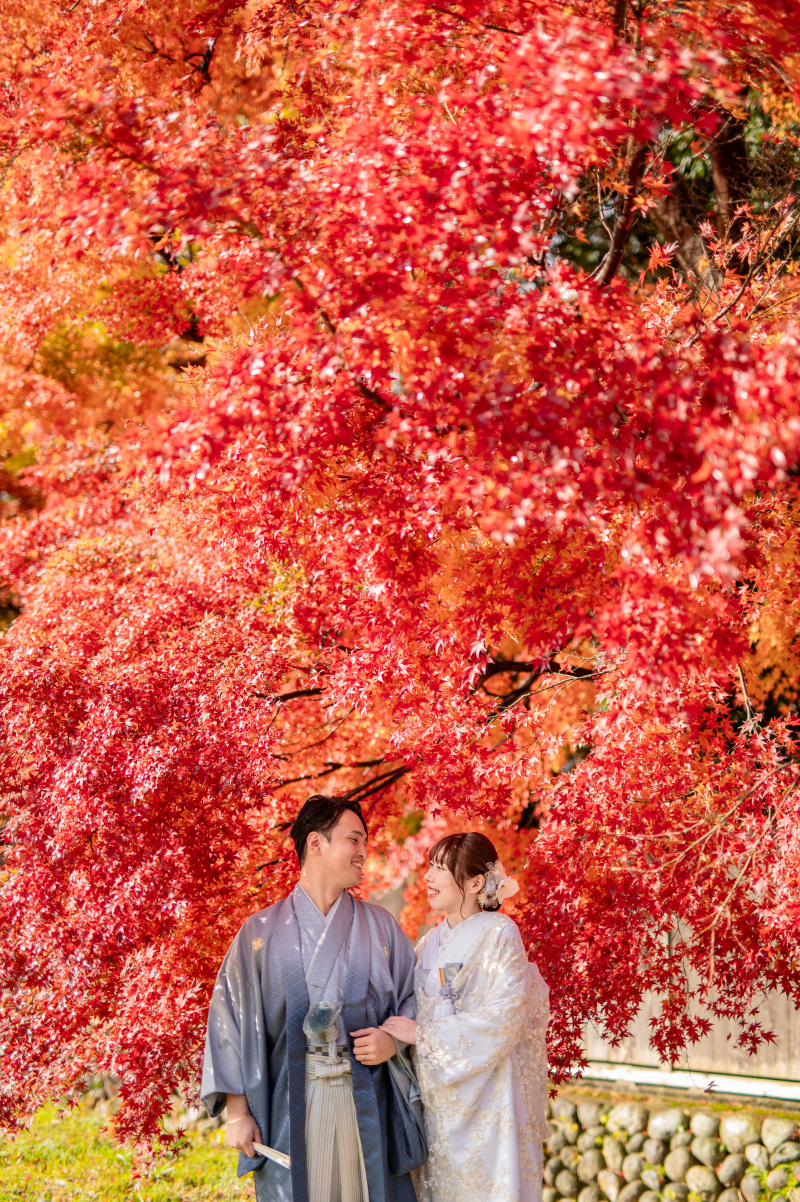 【秋限定・全データ180カット】真っ赤な紅葉と叶える和装ウェディングフォト