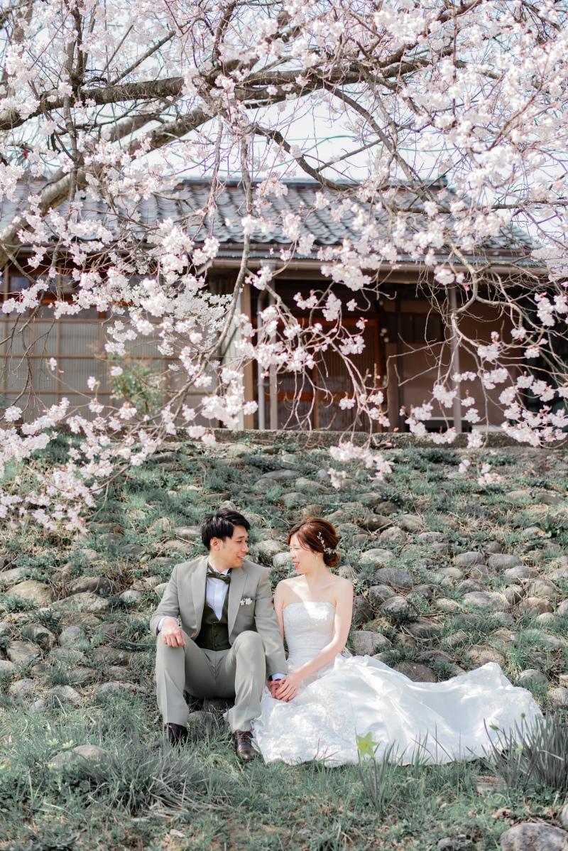 予約スタート!【桜フォト】毎年ご予約を多くいただく時期の撮影ですのでお早目にお問合せください!洋装 全データ プラン