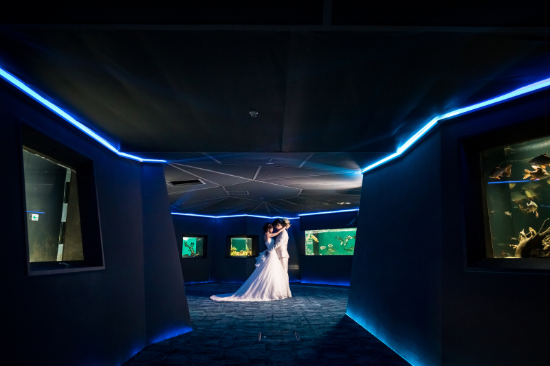 ブルーの世界！オセアニア・アジアゾーン