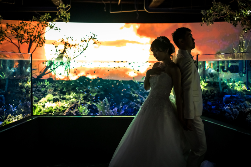 美しい夕日をバックに