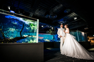 【チッタ ウェディング】カワスイ 川崎水族館フォト